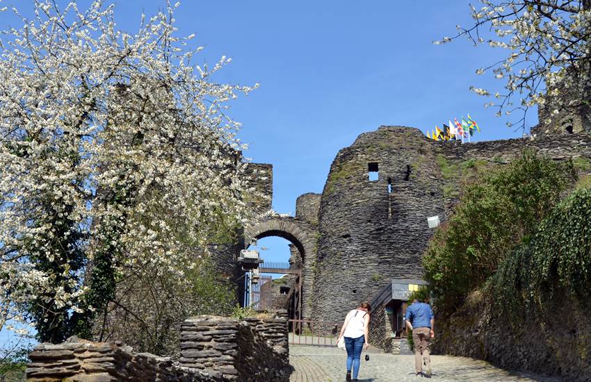 Château féodal de La Roche-en-Ardenne-photo-page