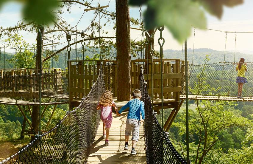 La Canopée - Domaine des Grottes de Han-photo-page