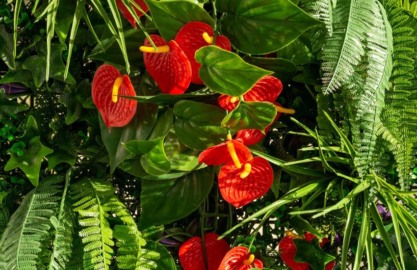 OCEAN 7 - Ambiance-photo-page