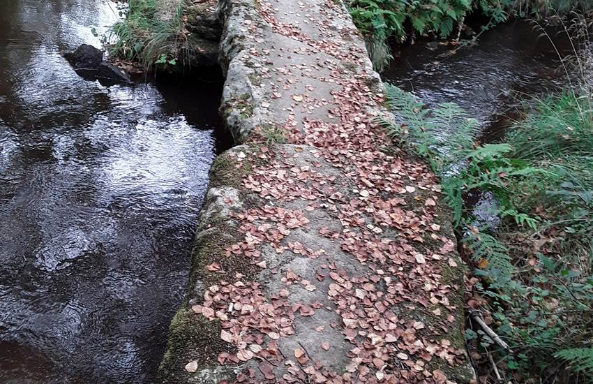 LES PONTS PLANCHES-photo-page