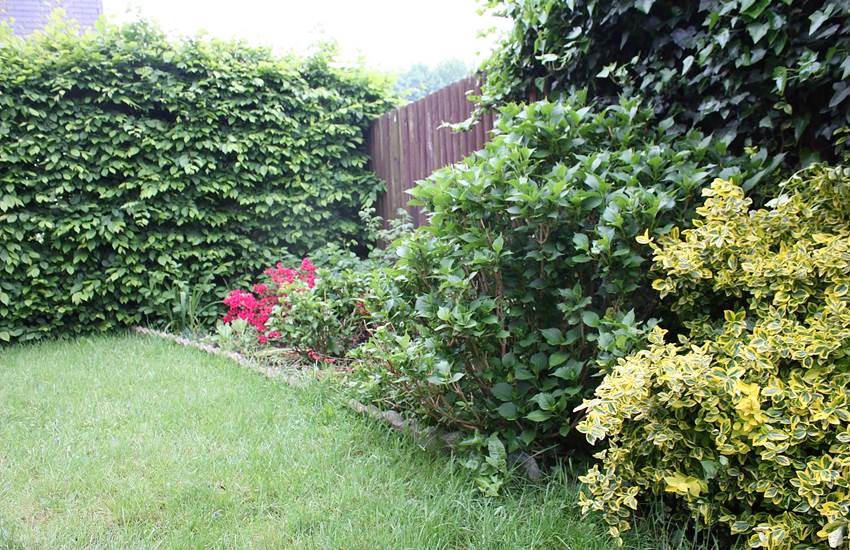 Coin jardin-photo-page