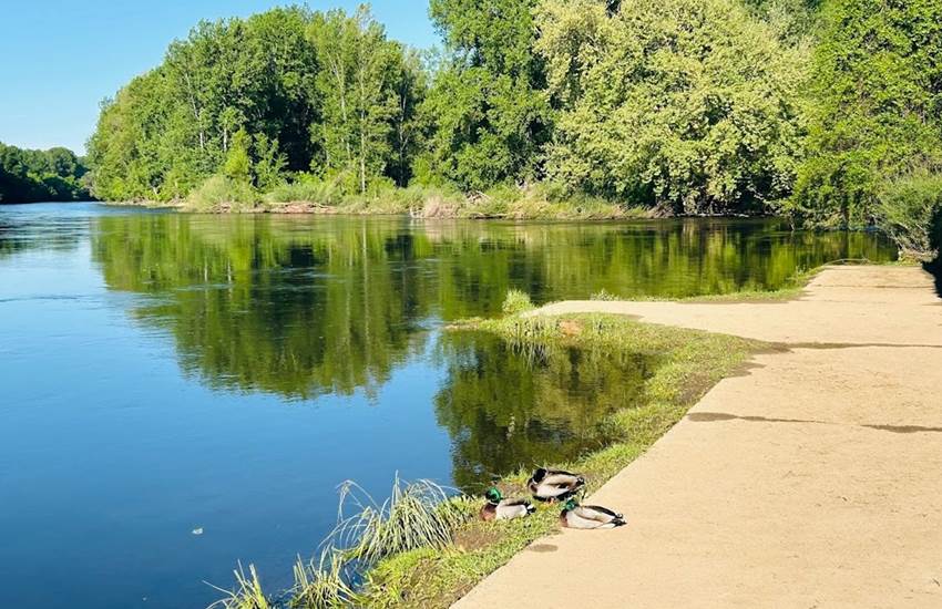 Sans titre-photo-page