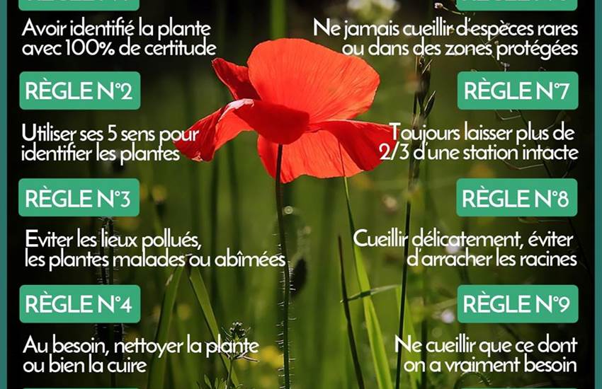 99296902_2550771705236952_5031382491651375104_o-photo-page