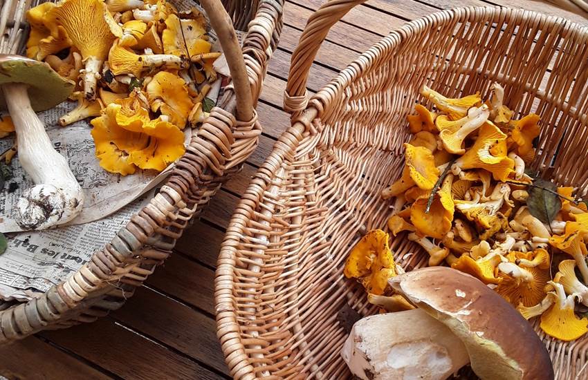 Sans titre-photo-page