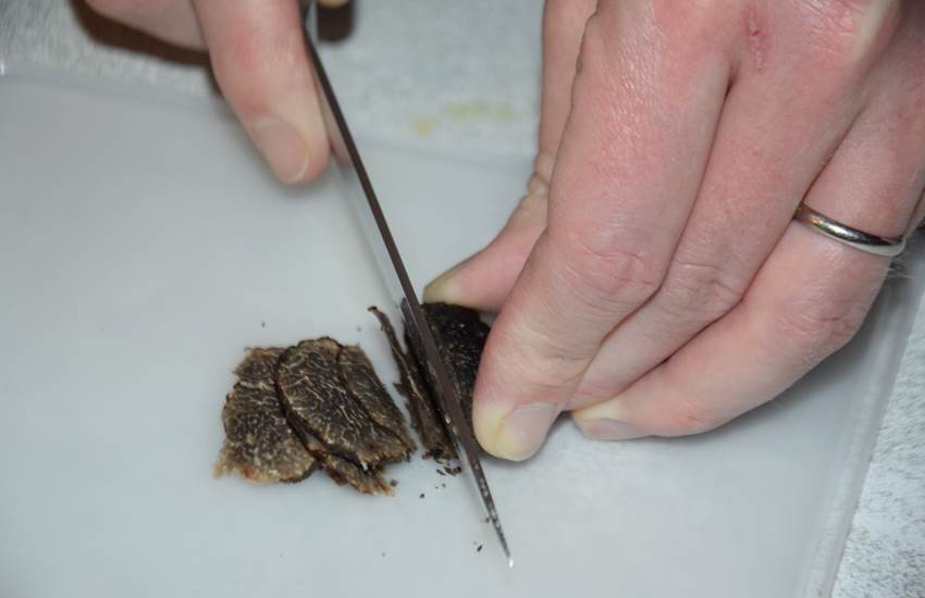 Découpe de truffe fraiche-photo-page