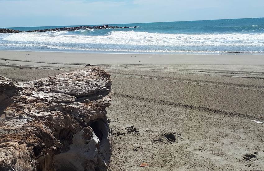 La plage sauvage de l'Espiguette-photo-page