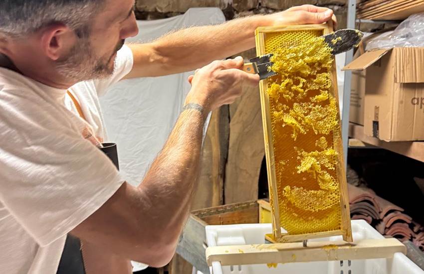 Extraction du miel de La Maison des Etoiles-photo-page