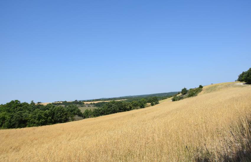 Les causses du Quercy en été-photo-page