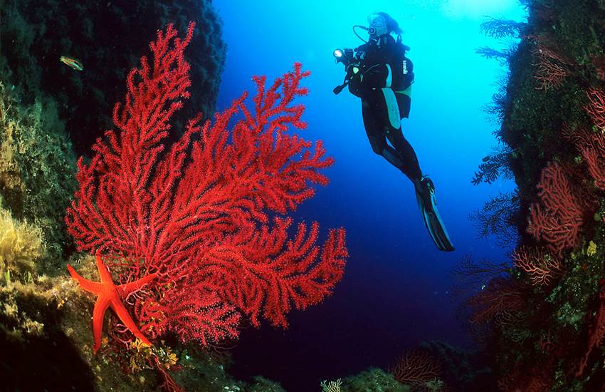 Sans titre-photo-page