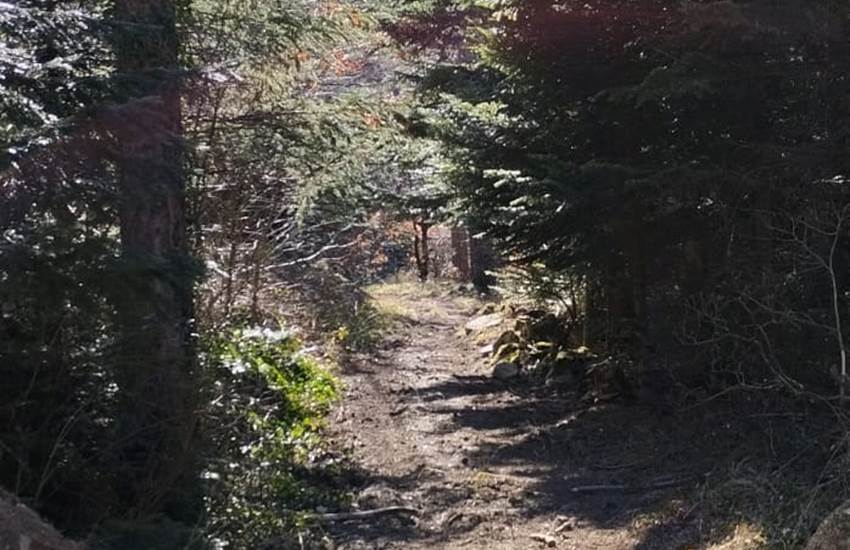 Sans titre-photo-page