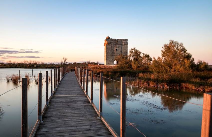 Sans titre-photo-page