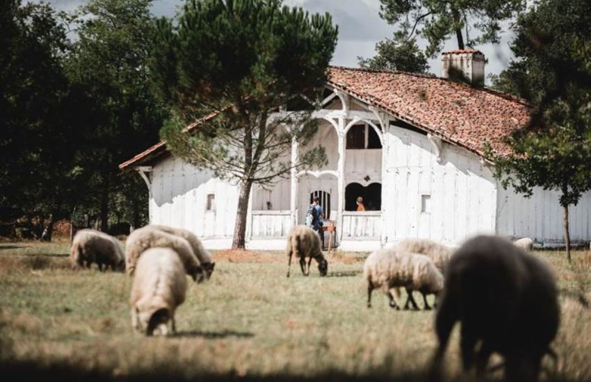 Ecomusée de Marqueze dans les Landes-photo-page