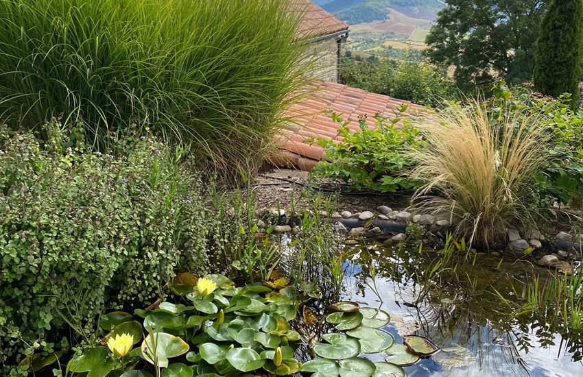 Bassin à Poissons-photo-page