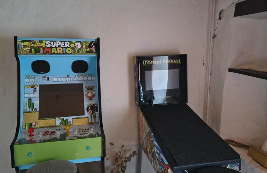 espace-jeux-arcade-flipper-famille-enfants-gite-centres-aveyron-saisonnee.jpg-photo-page