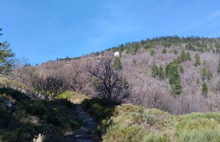 Sans titre-photo-page