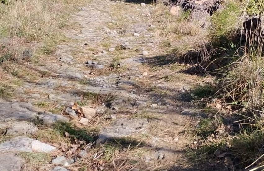 Sans titre-photo-page