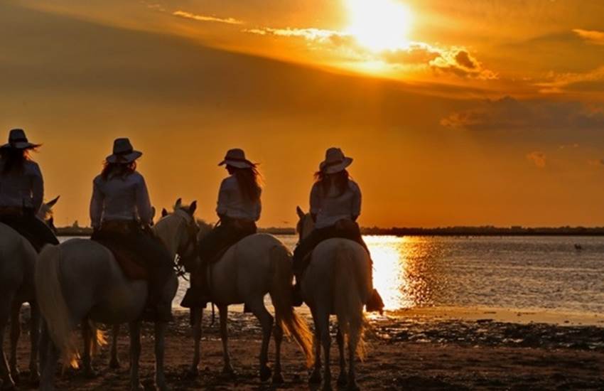 Sans titre-photo-page