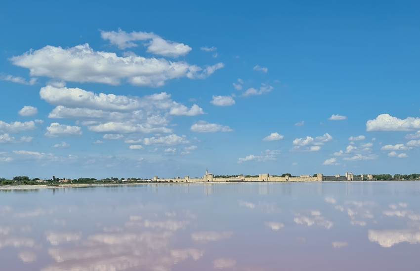 L'étang rose de la Ville-photo-page