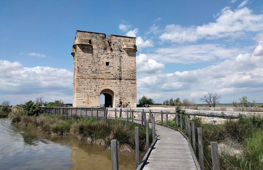 Sans titre-photo-page