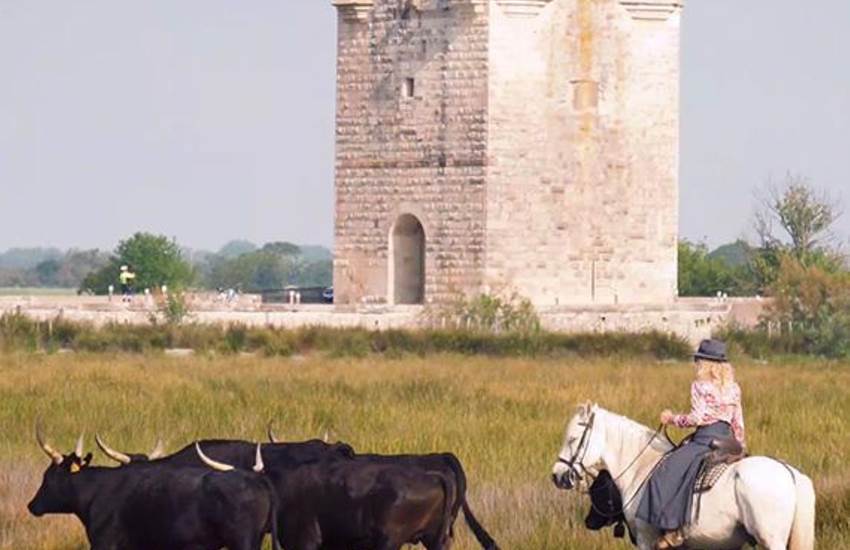 Sans titre-photo-page