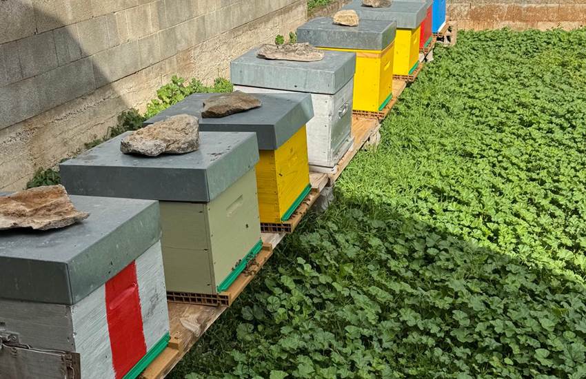 Sans titre-photo-page