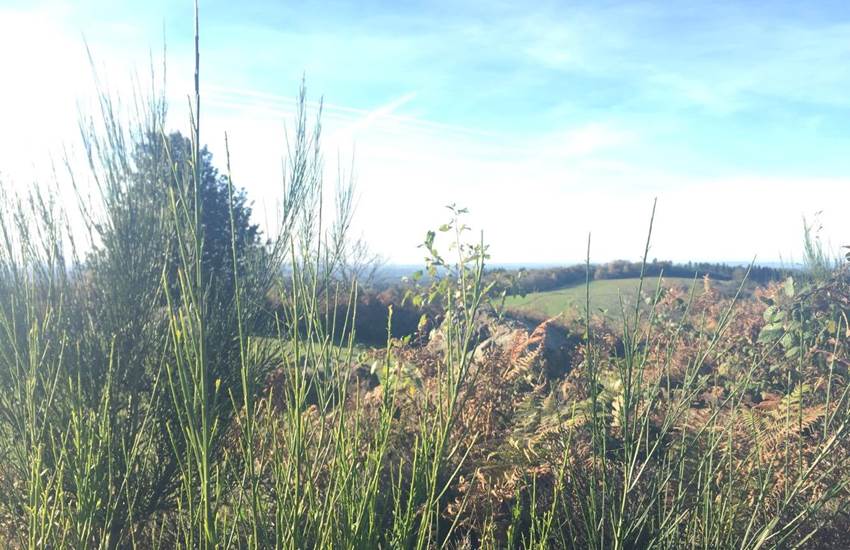 Le site du Mont Gargan-photo-page