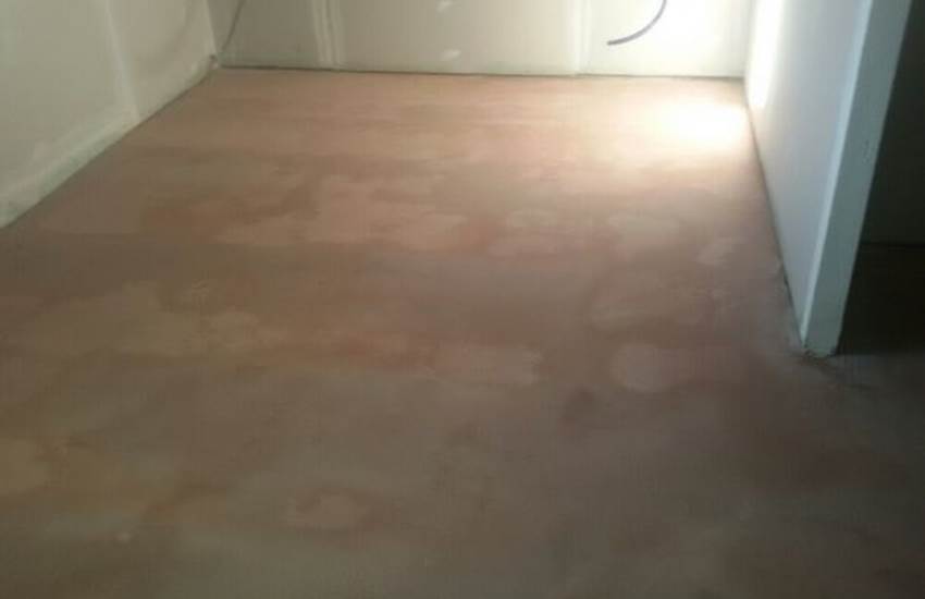 Sans titre-photo-page