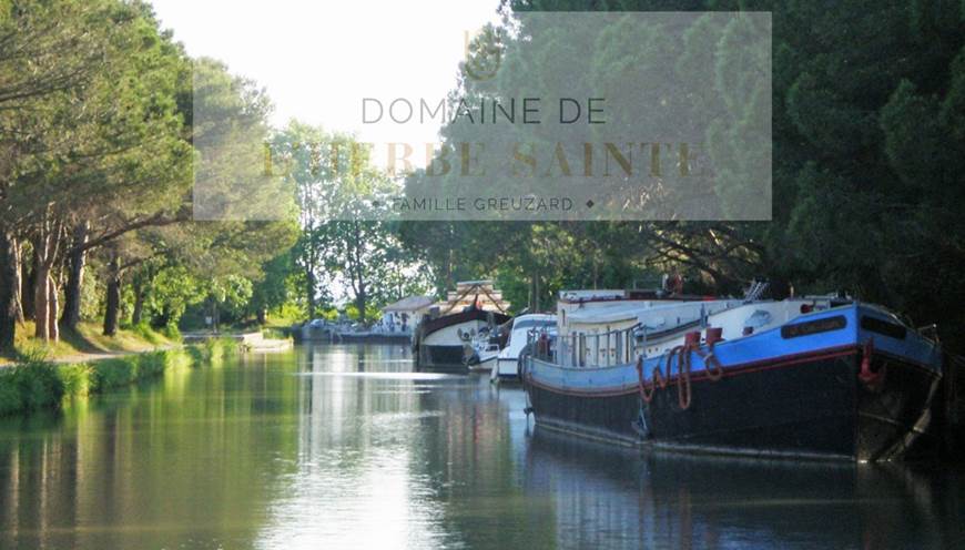 Partie du canal du midi longé par des pins parasol