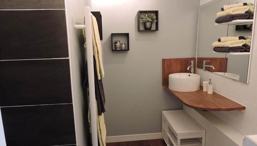 Salle de bain (douche italienne + WC)