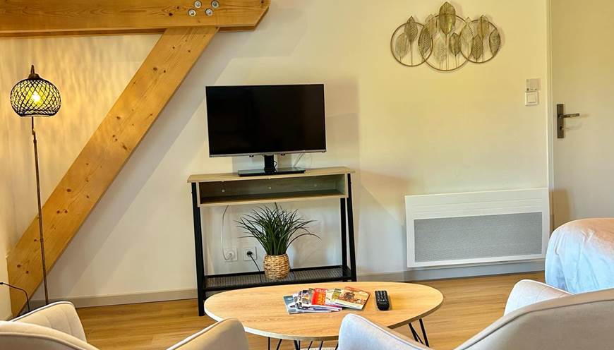 Salon avec télévision et WIFI