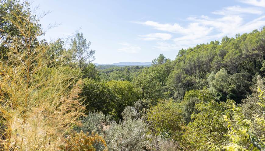 100% nature a CASA AMMIRATI FLAYOSC