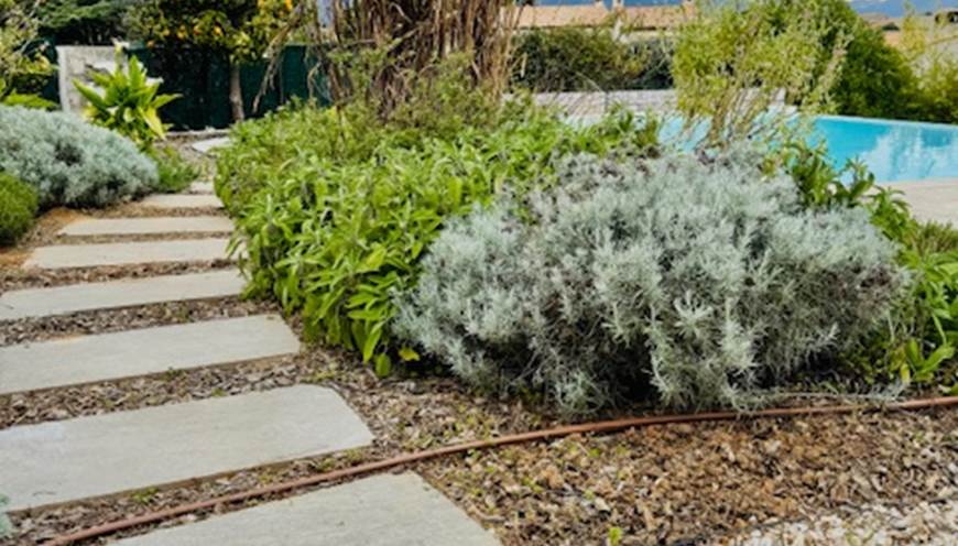 LOU BEL AZUR - JARDIN PROVENCAL