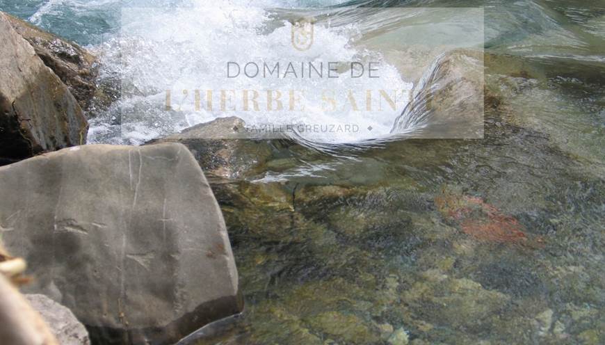 Rivière Cesse proche Domaine Herbe Sainte