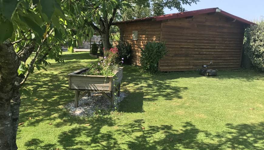 arrière sous les arbres