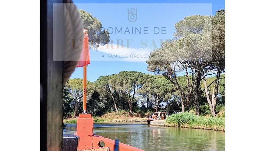 canal du midi avec la capitaine