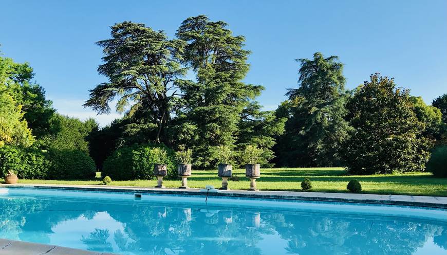 La piscine avec vue sur le parc