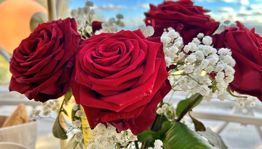 bouquet de sept roses magnifiques, idéales pour un cadeau