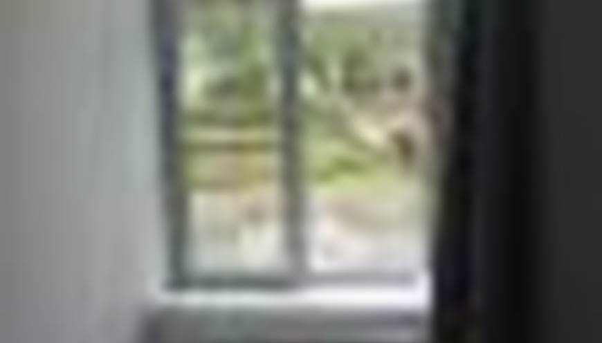 551665221