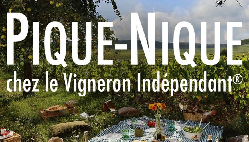 Pique nique vigneron