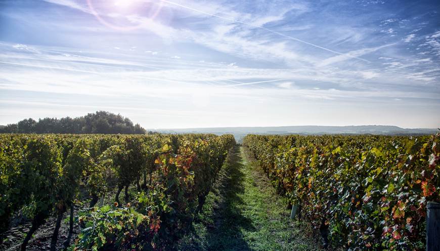 Le sentier pédagogique