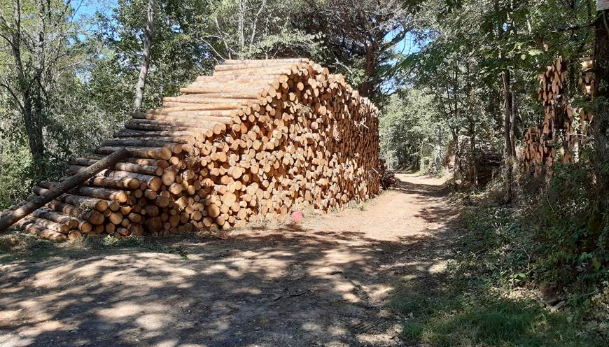 du bois pour nos maisons