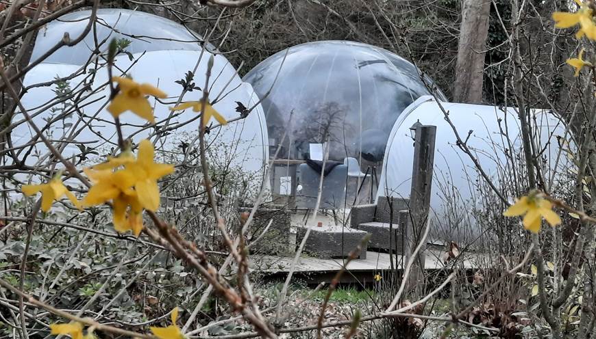 la maison bulle en tout début de printemps