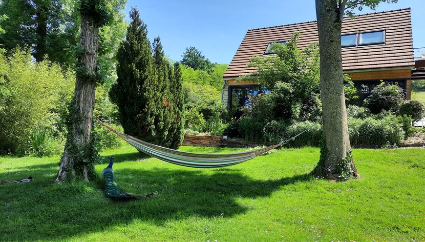 Petit coin détente dans le jardin
