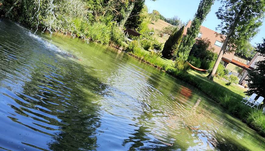coté bassin