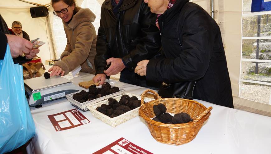 marché-truffes-sarlat