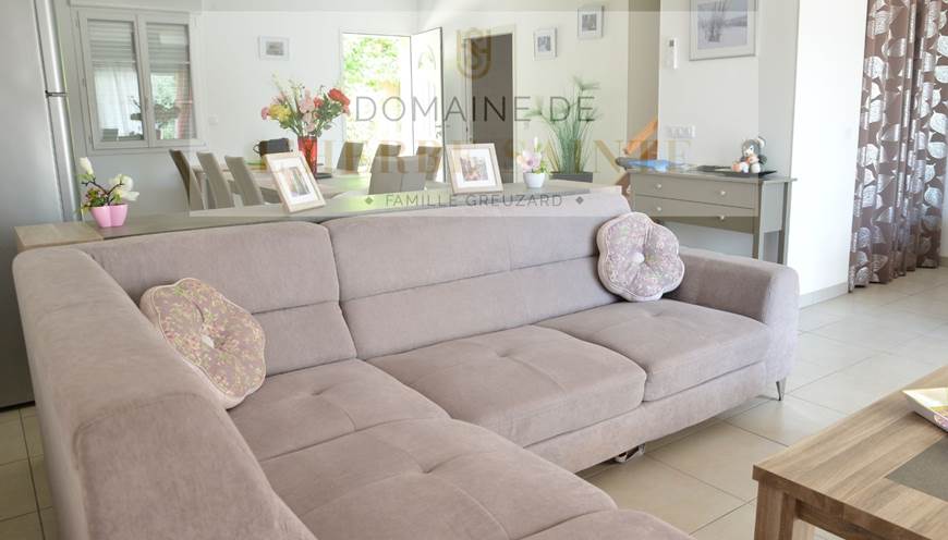 Gîte Artémisia coin télévision avec canapé convertible