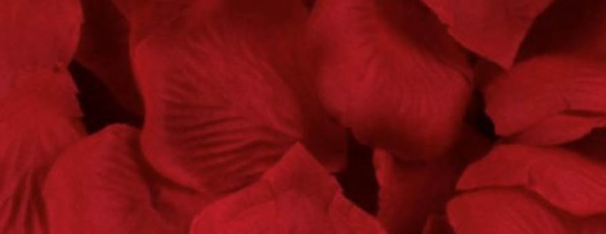 Capture d’écran 2025-06-18 à 23.10.55