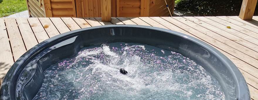 Domaine de Kerizel-Morbihan-bain finlandais