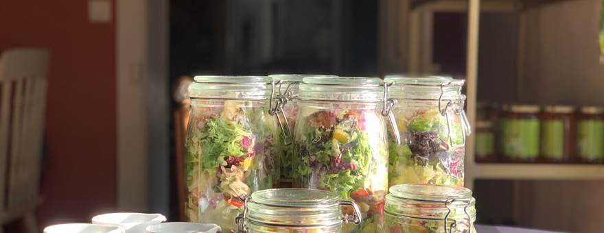 Salades caesar et leur sauce