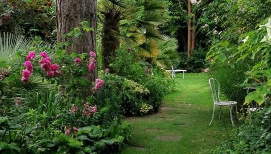 Jardin paysager de la maison d'hôtes  - La Malposte